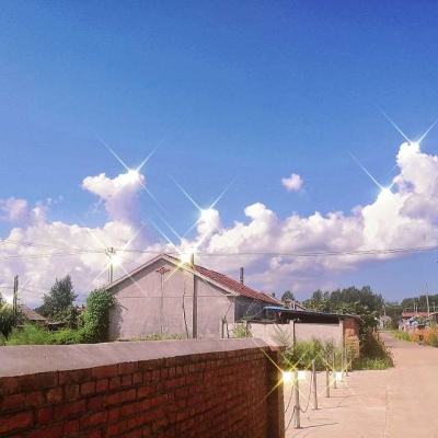 寻宝物语咖啡之恋游戏下载